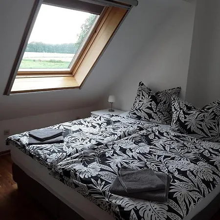 Aufderhaar *