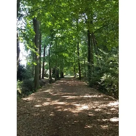 Aufderhaar *
